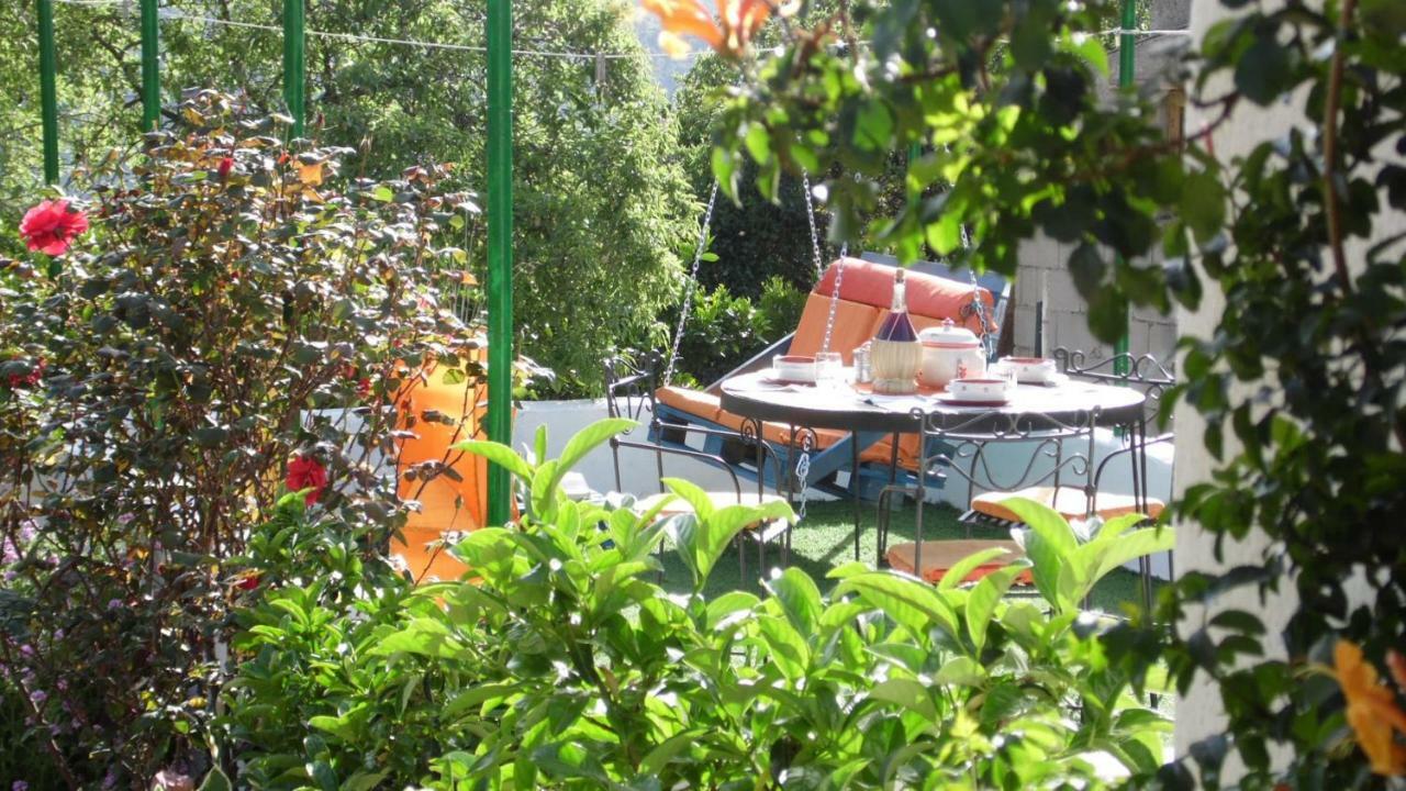 Villa Ferulas Oliena Eksteriør billede